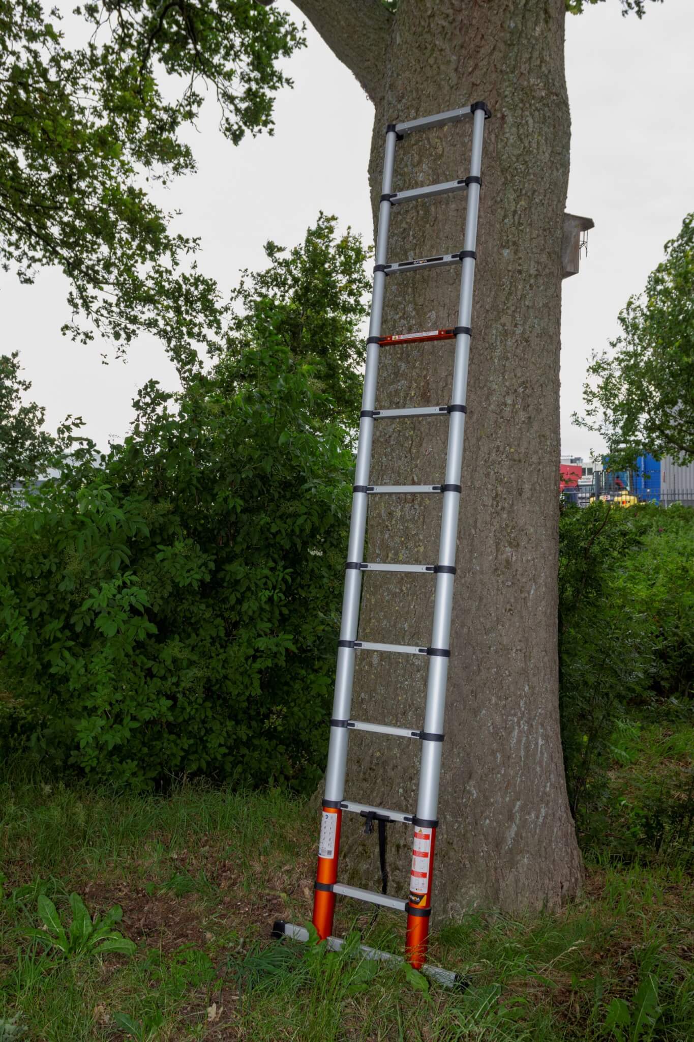 Telescopic Ladder | Batavia