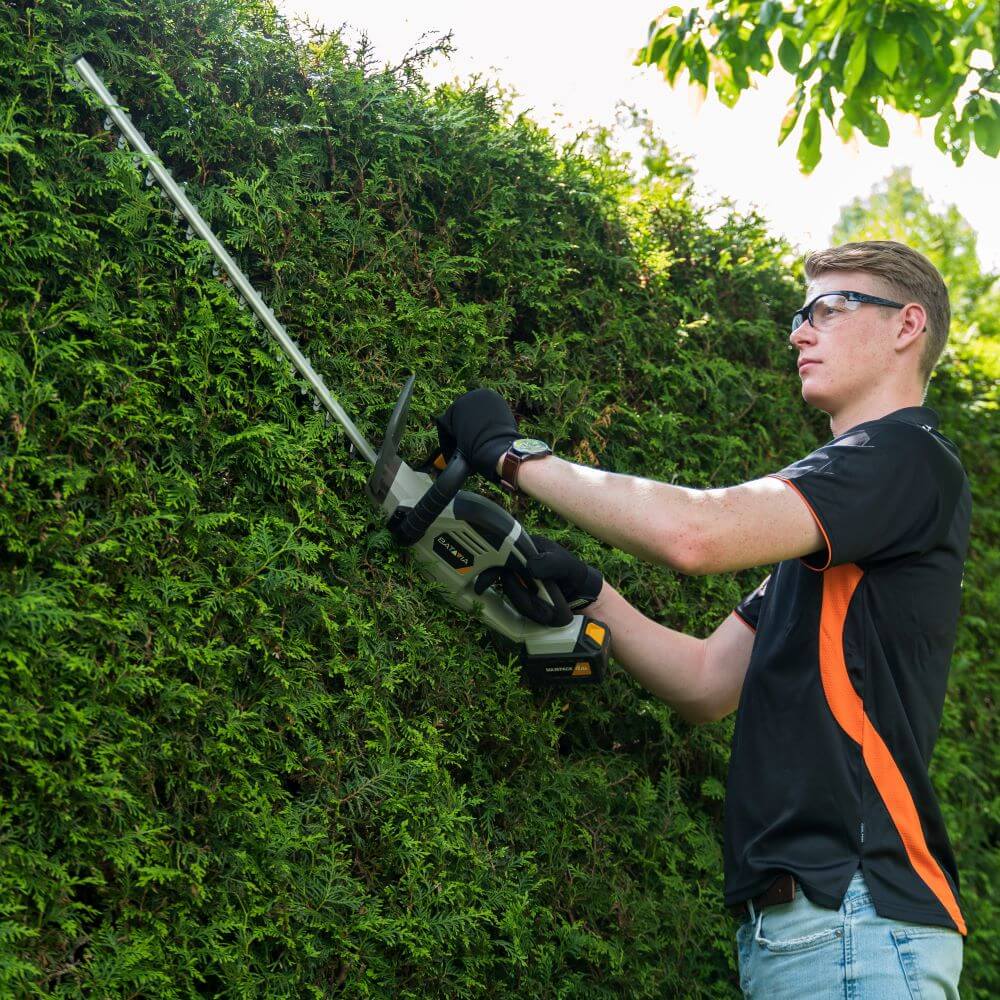 Cordless Hedge Trimmer | 18V Maxxpack collection | Batavia